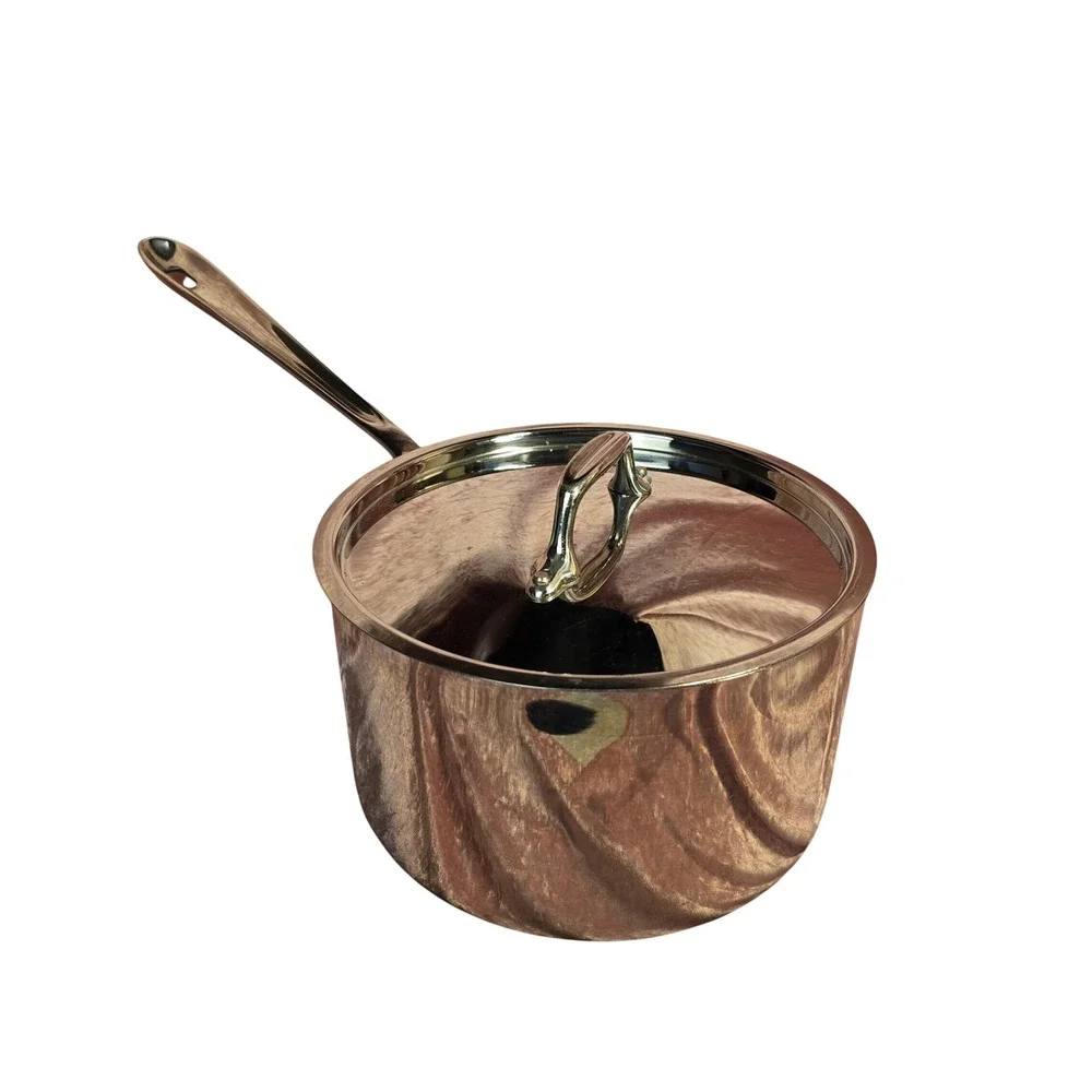 All-Clad Stainless Steel Nonstick Saucepan with Lid Silver 5x8 Inch 3 Quart